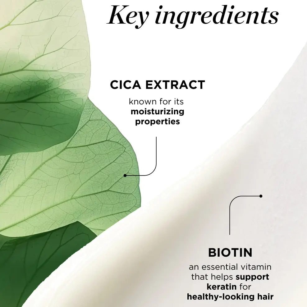 3-Step Bundle + Scalp Soothing Shampoo with Biotin & Cica for Dry Scalp
