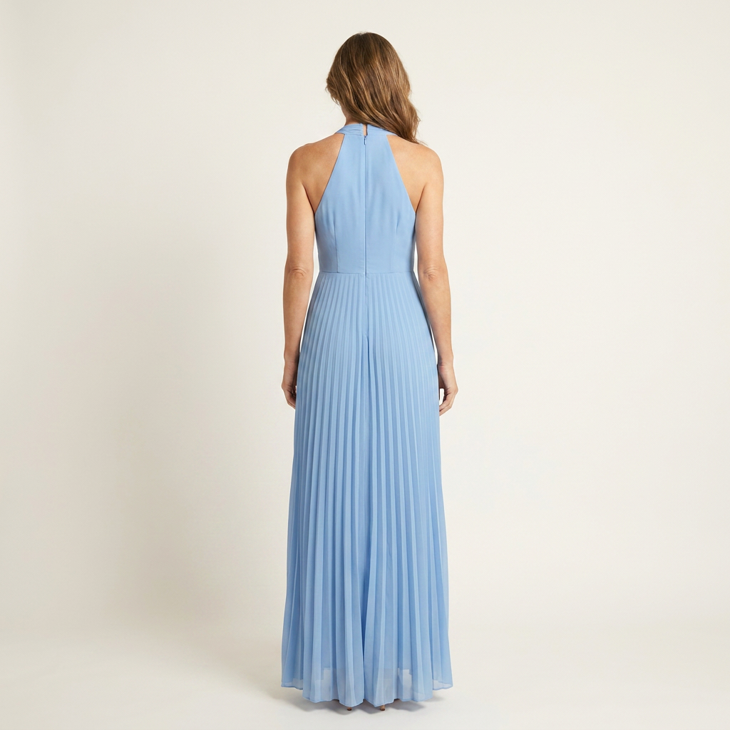 Violina | Halter V-Neck Pleated Chiffon Maxi Dress